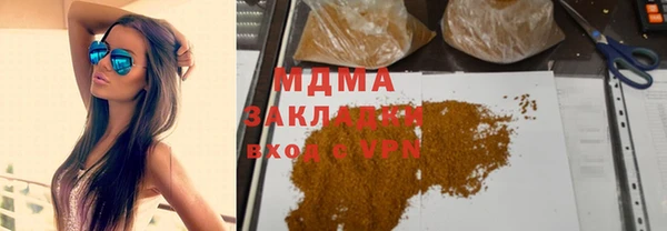 шишки Дубна