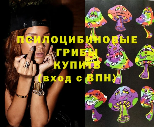 мдпв Алзамай